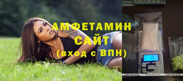 индика Переславль-Залесский