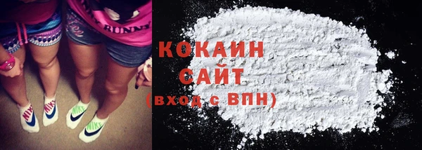 индика Переславль-Залесский