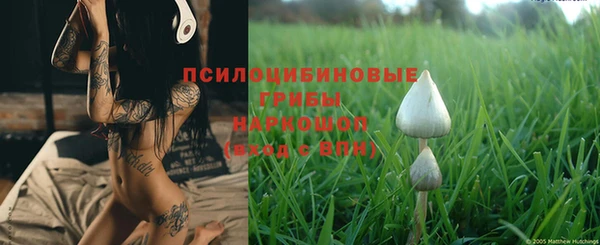 MESCALINE Баксан