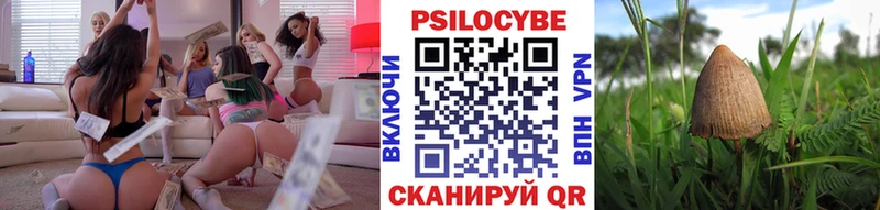 купить наркоту  Шебекино  Псилоцибиновые грибы мухоморы 